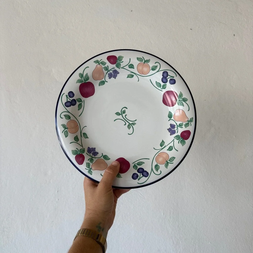 Princess House Orchard Medley Dinner Plate Fruit Pattern Blue Trim Ceramic